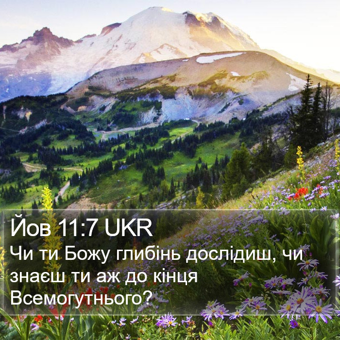 Йов 11:7 UKR Bible Study