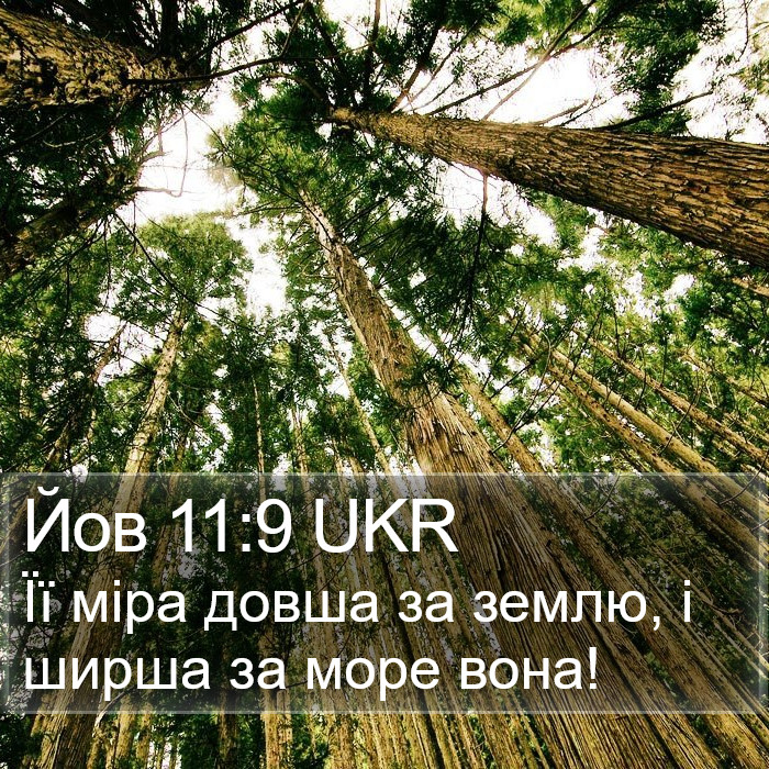 Йов 11:9 UKR Bible Study