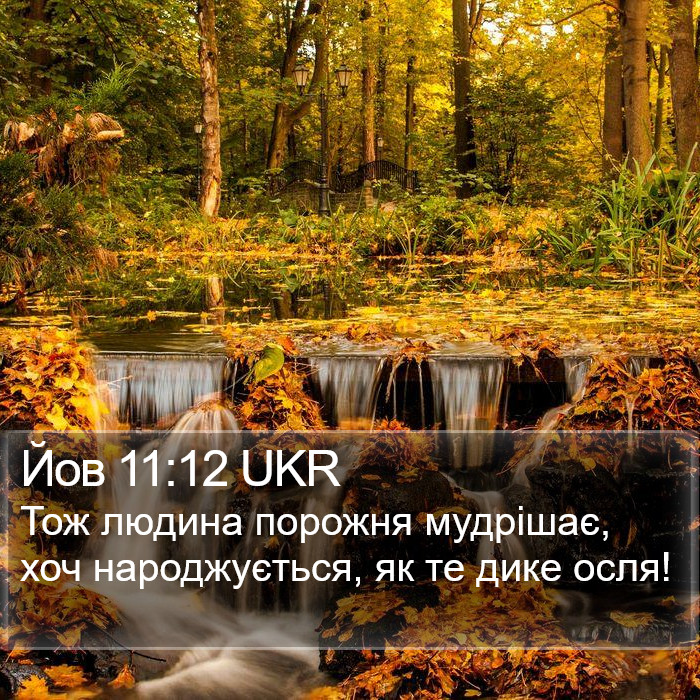 Йов 11:12 UKR Bible Study