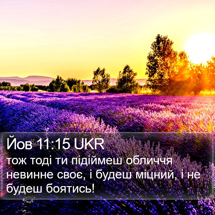 Йов 11:15 UKR Bible Study