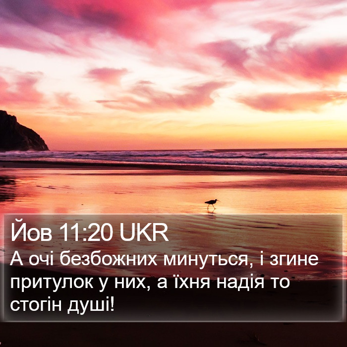 Йов 11:20 UKR Bible Study