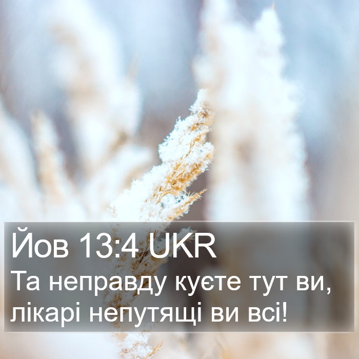 Йов 13:4 UKR Bible Study