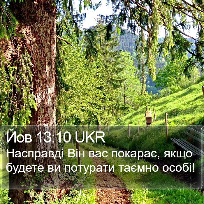 Йов 13:10 UKR Bible Study