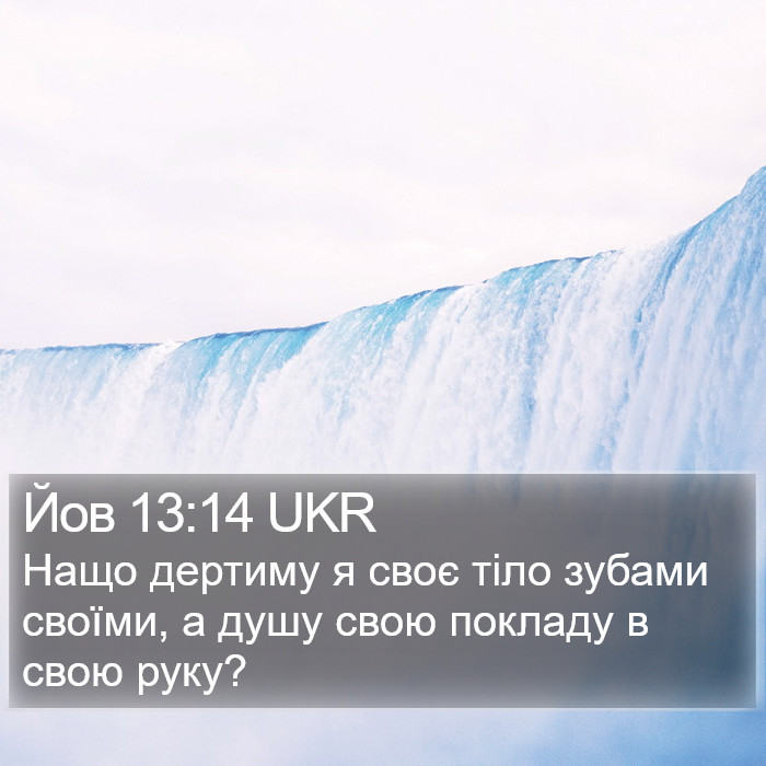 Йов 13:14 UKR Bible Study