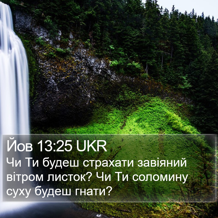 Йов 13:25 UKR Bible Study