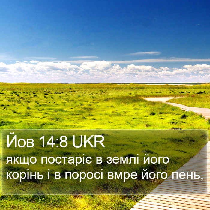 Йов 14:8 UKR Bible Study