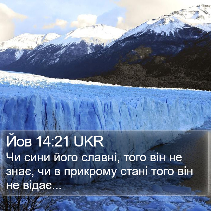 Йов 14:21 UKR Bible Study