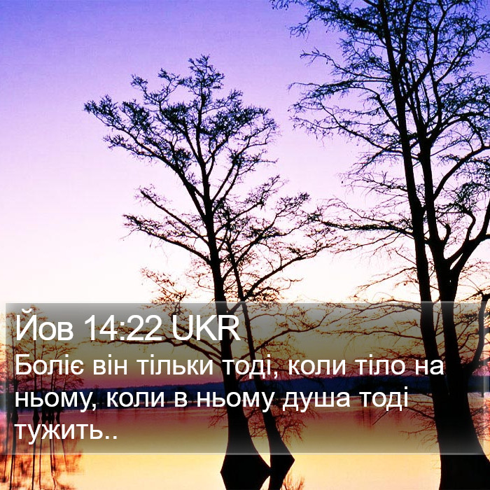 Йов 14:22 UKR Bible Study