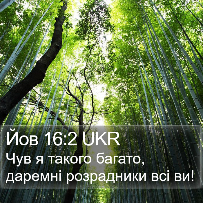 Йов 16:2 UKR Bible Study