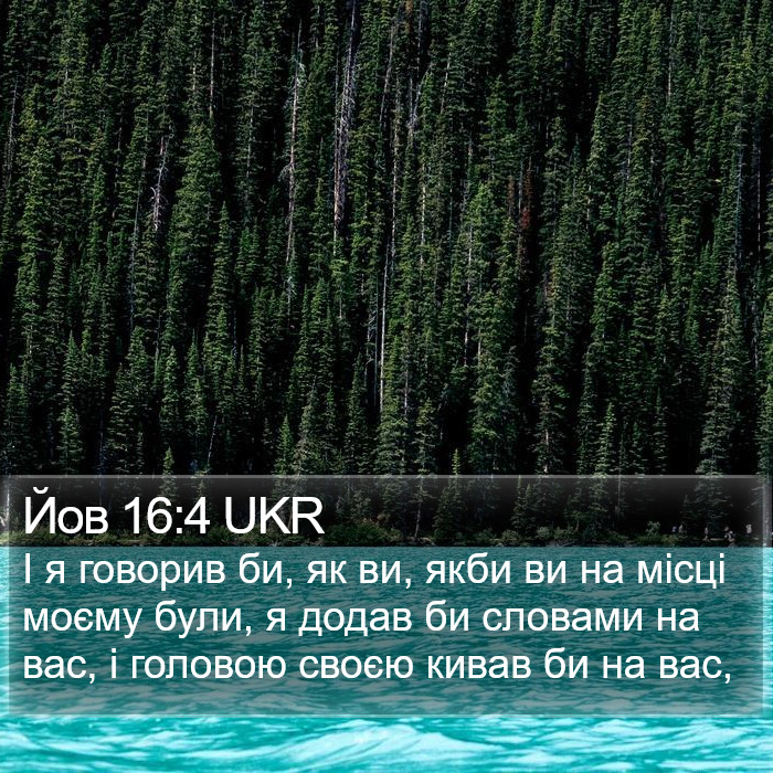 Йов 16:4 UKR Bible Study