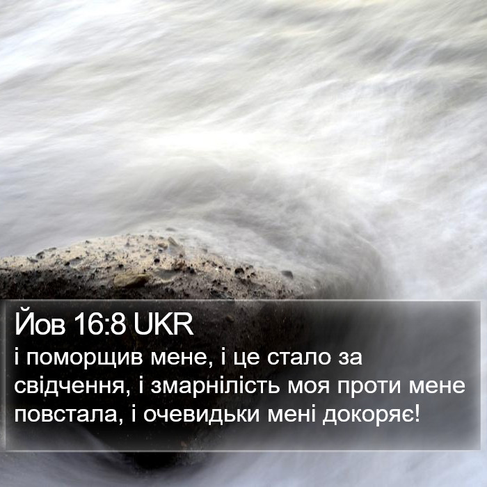 Йов 16:8 UKR Bible Study