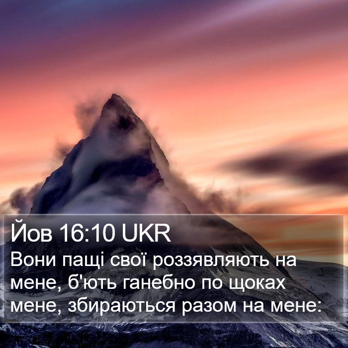 Йов 16:10 UKR Bible Study