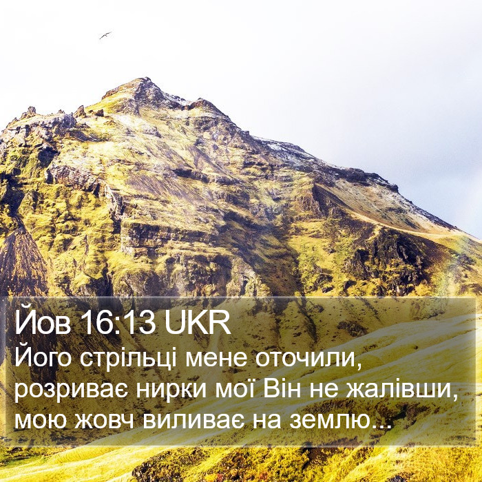 Йов 16:13 UKR Bible Study