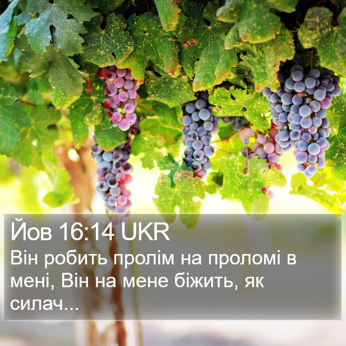 Йов 16:14 UKR Bible Study