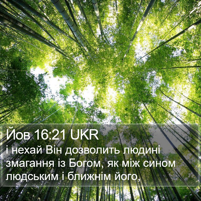 Йов 16:21 UKR Bible Study