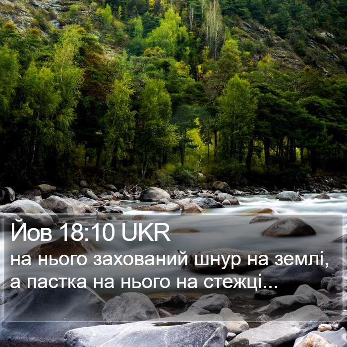 Йов 18:10 UKR Bible Study