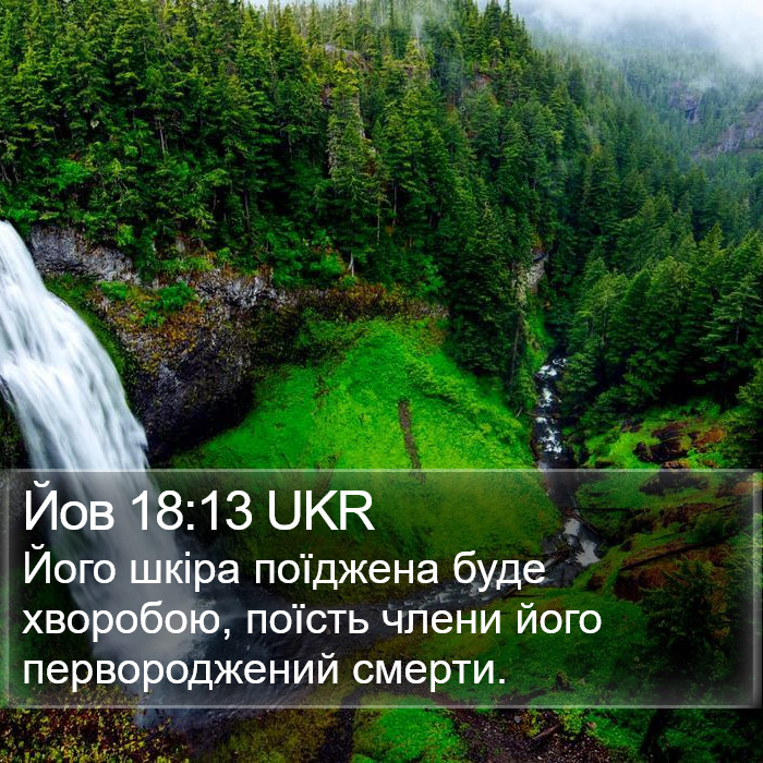 Йов 18:13 UKR Bible Study