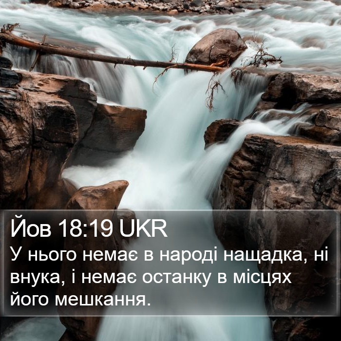 Йов 18:19 UKR Bible Study