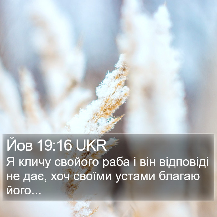 Йов 19:16 UKR Bible Study
