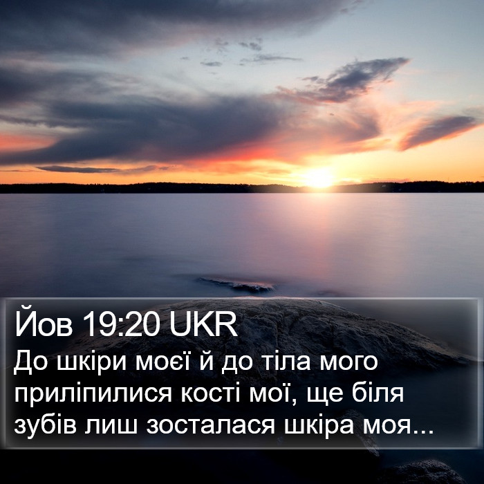 Йов 19:20 UKR Bible Study