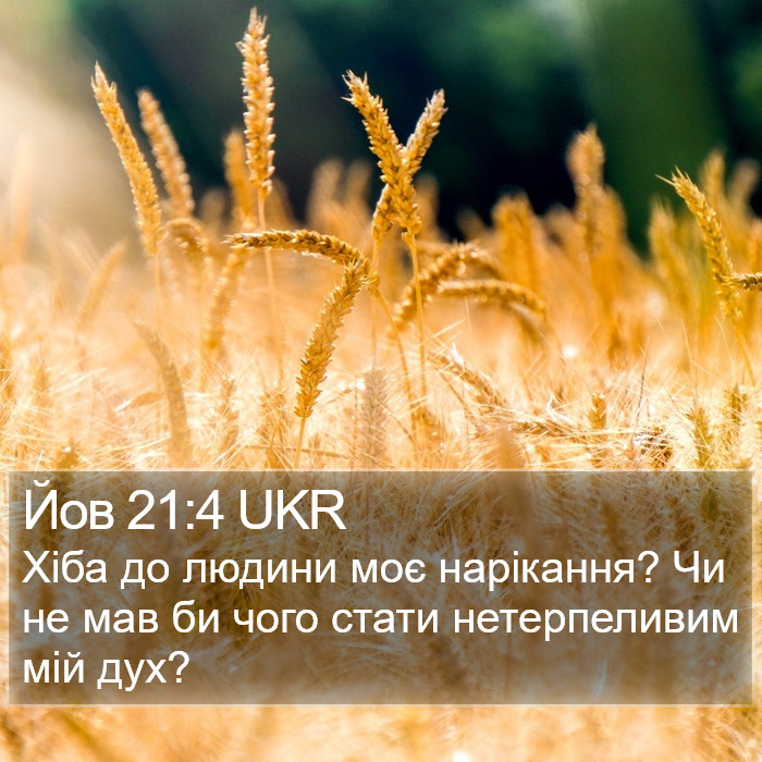 Йов 21:4 UKR Bible Study