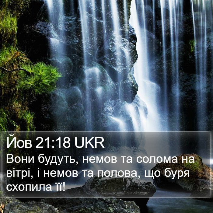 Йов 21:18 UKR Bible Study