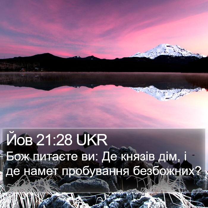 Йов 21:28 UKR Bible Study