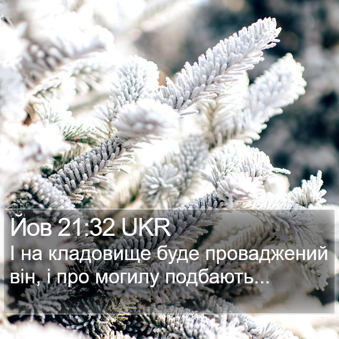 Йов 21:32 UKR Bible Study