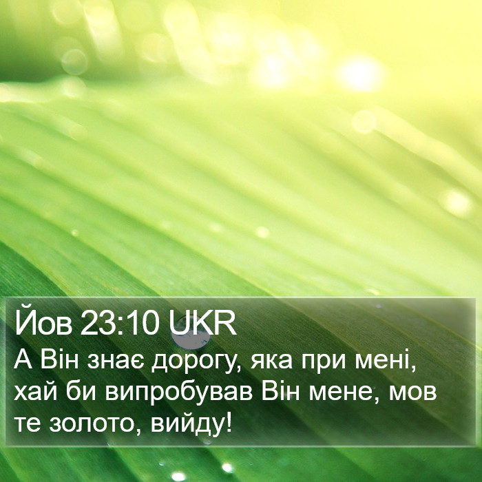 Йов 23:10 UKR Bible Study