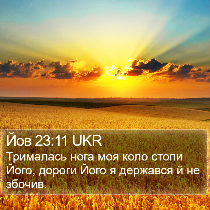 Йов 23:11 UKR Bible Study
