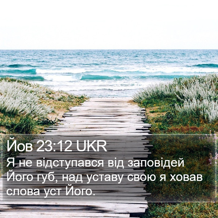 Йов 23:12 UKR Bible Study