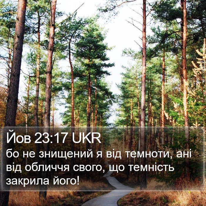 Йов 23:17 UKR Bible Study