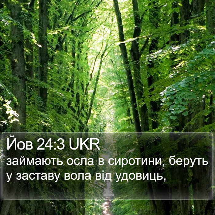 Йов 24:3 UKR Bible Study