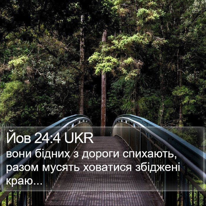 Йов 24:4 UKR Bible Study