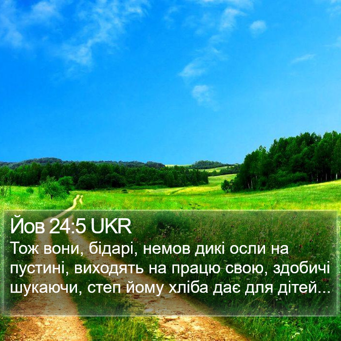 Йов 24:5 UKR Bible Study