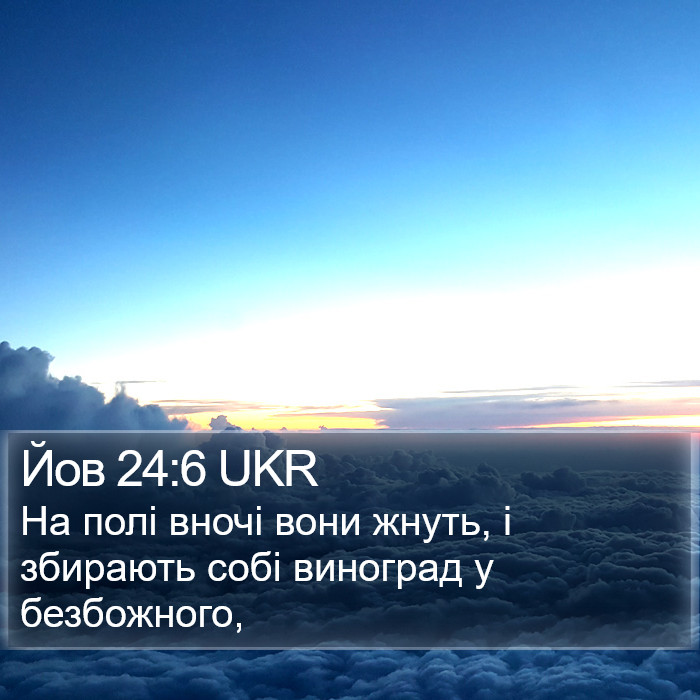 Йов 24:6 UKR Bible Study