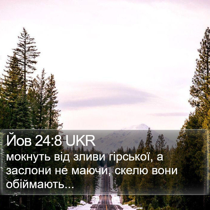 Йов 24:8 UKR Bible Study