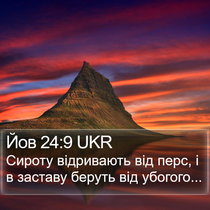 Йов 24:9 UKR Bible Study