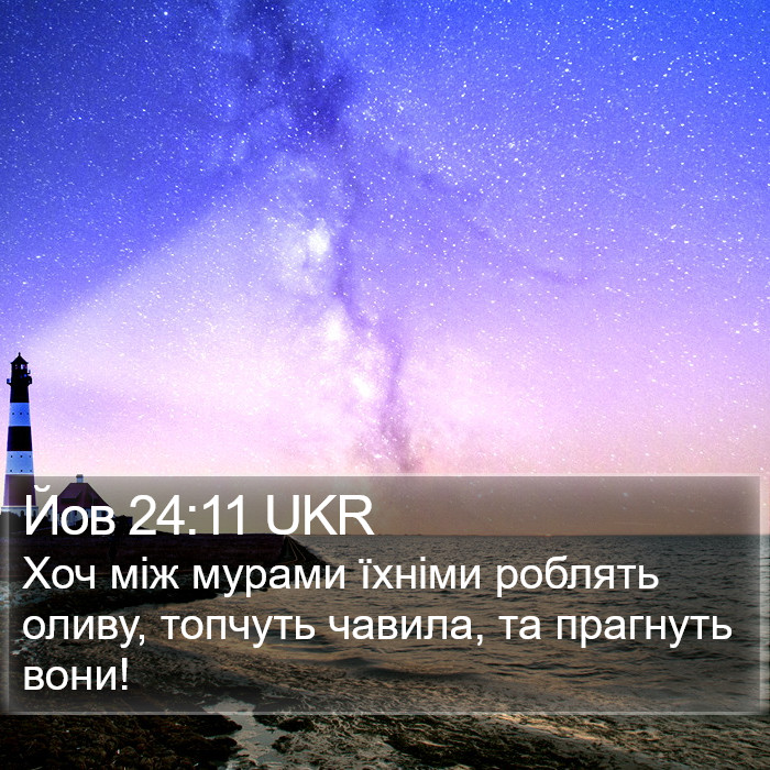 Йов 24:11 UKR Bible Study