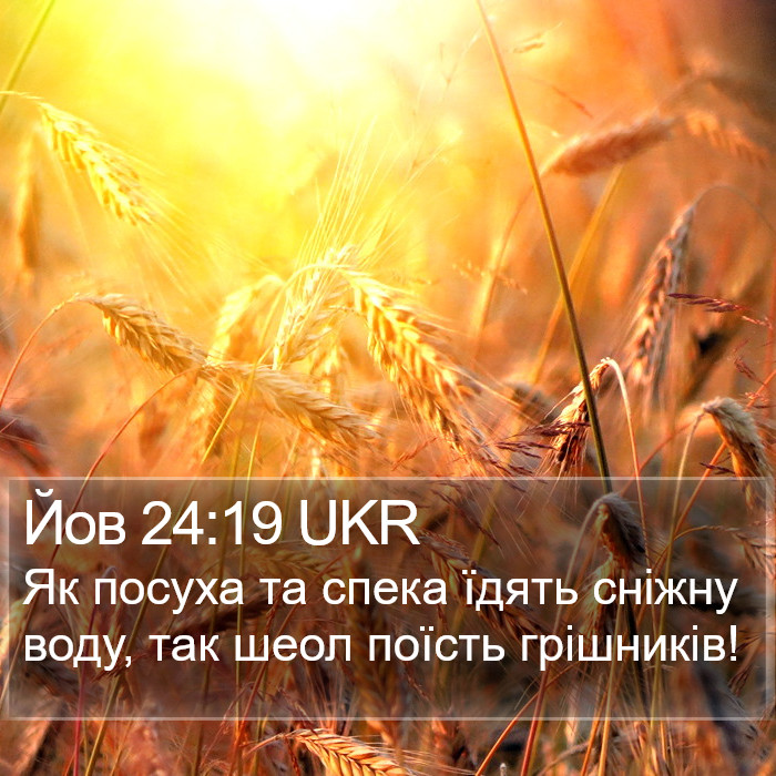 Йов 24:19 UKR Bible Study