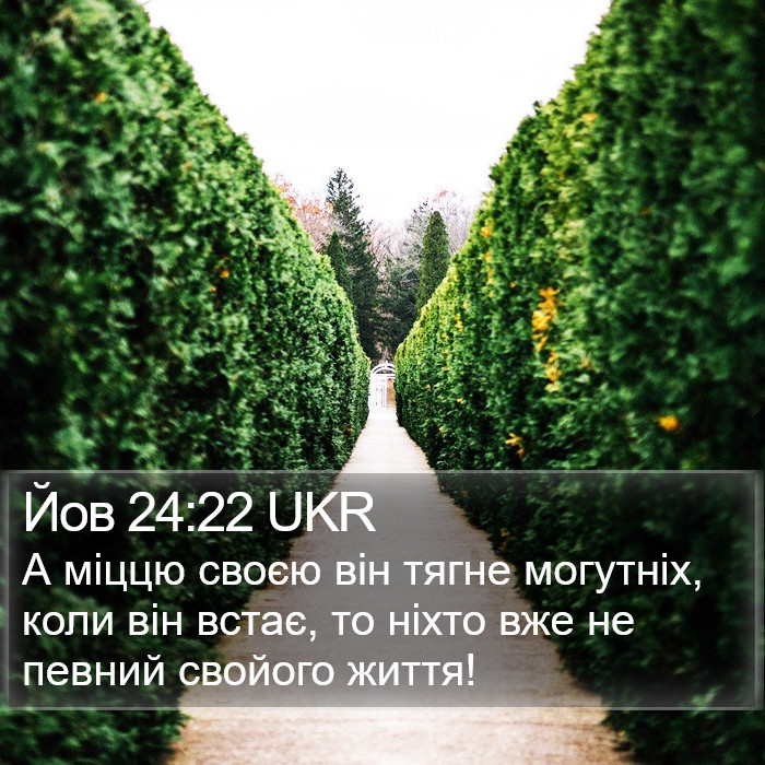 Йов 24:22 UKR Bible Study