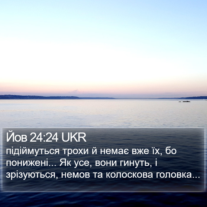 Йов 24:24 UKR Bible Study