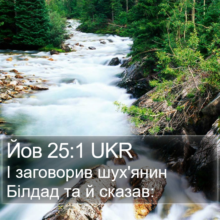 Йов 25:1 UKR Bible Study