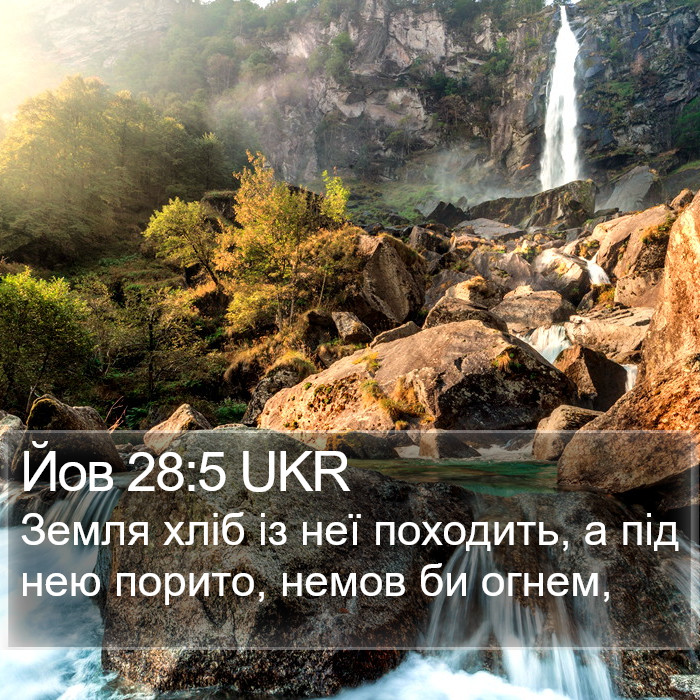 Йов 28:5 UKR Bible Study