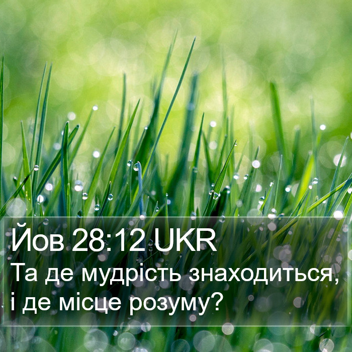 Йов 28:12 UKR Bible Study