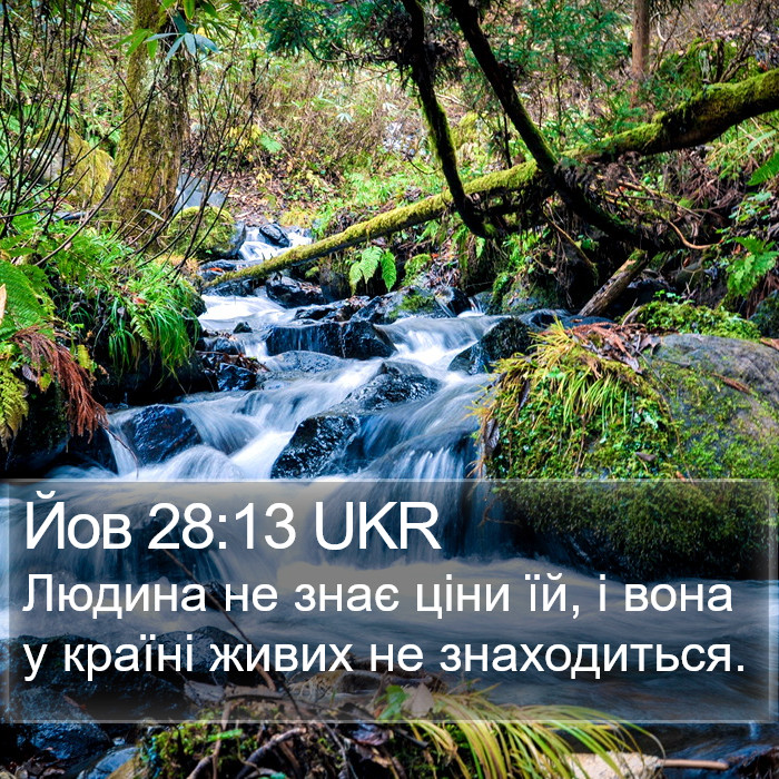 Йов 28:13 UKR Bible Study