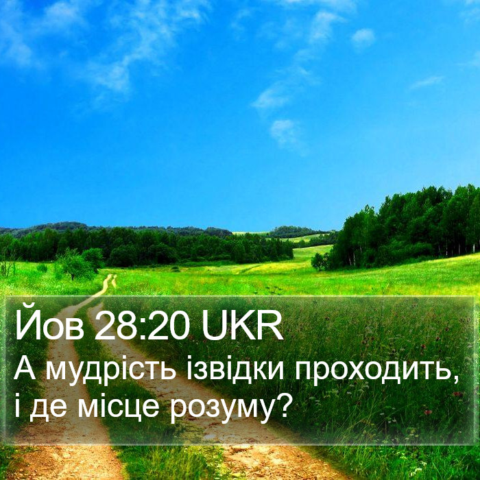 Йов 28:20 UKR Bible Study