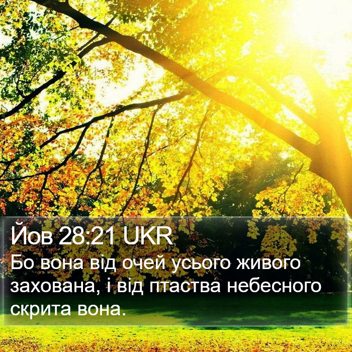 Йов 28:21 UKR Bible Study