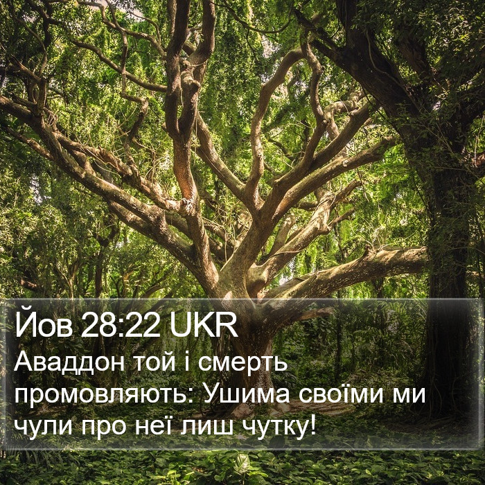 Йов 28:22 UKR Bible Study