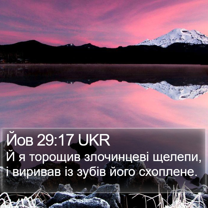 Йов 29:17 UKR Bible Study